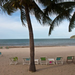 dolphin bay_beach