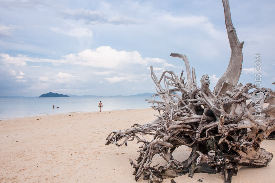 Driftwood looks like a sculpture on Ko Bulon Lee's Beach.