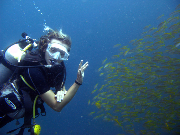 thailand diving